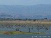 Sri Lanka Uda Walawe Nationa Park Picture