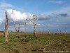 Sri Lanka Uda Walawe Nationa Park Picture