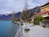 Switzerland Brienz Picture