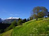 Switzerland Ernen (Spring) Picture