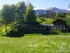 Switzerland Ernen (Spring) Picture