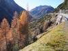 Switzerland Fuela Picture