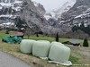 Switzerland Grindelwald Picture