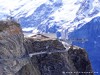 Switzerland Grindelwald Picture