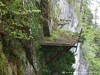 Switzerland Hammetschwand Picture