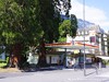Switzerland Interlaken Picture