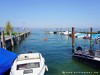 Switzerland Lake-constance Picture