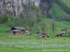 Switzerland Lauterbrunnen Picture