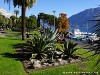 Switzerland Locarno Picture