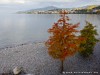 Switzerland Montreux Picture