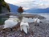 Switzerland Montreux Picture