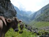 Switzerland Saentis Picture