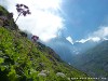 Switzerland Saentis Picture