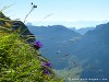 Switzerland Saentis Picture