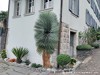 Switzerland Zug Picture