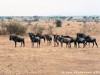 Tanzania Country Picture