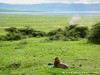 Tanzania Ngorongoro Picture