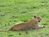 Tanzania Ngorongoro Picture