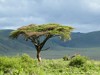 Tanzania Ngorongoro Picture