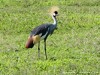 Tanzania Ngorongoro Picture