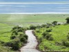 Tanzania Ngorongoro Picture