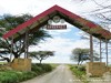 Tanzania Serengeti Picture