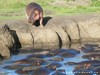 Tanzania Serengeti Picture