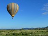 Tanzania Serengeti Picture