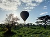 Tanzania Serengeti Picture