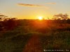 Tanzania Serengeti Picture