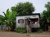 Tome Neves Picture