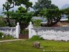 Tome Neves Picture