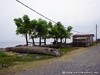 Tome Neves Picture