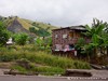 Tome Neves Picture
