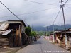 Tome Neves Picture