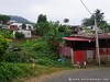 Tome Nicolau Picture