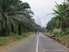 Tome South Picture