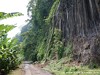 Tome West Picture