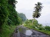 Tome West Picture