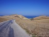 Tunisia Angela Picture