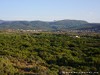 Tunisia Barkoukech Picture