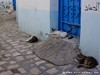Tunisia Bizerta Picture