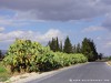 Tunisia Country Picture
