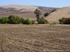 Tunisia Country Picture