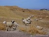 Tunisia Country Picture