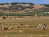 Tunisia Country Picture