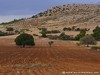 Tunisia Country Picture