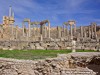 Tunisia Dougga Picture
