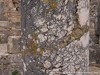 Tunisia Dougga Picture