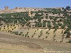 Tunisia Dougga Picture